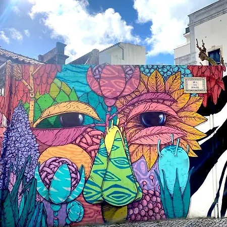 Casa Da Fonte - Vintage House And Rooftop